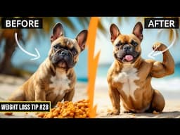 Woof! Body Transformations with Coach Moby