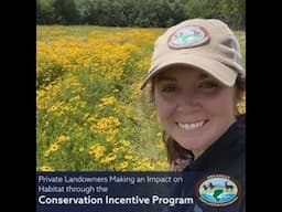 Wild Science Webinar: December 2024- Private Landowners Making an Impact on Habitat