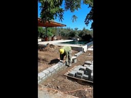 laying bricks in a garden renovation #shorts