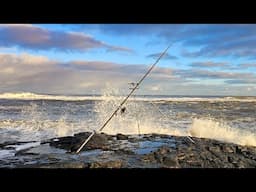 Rocky Cod session around Northumberland