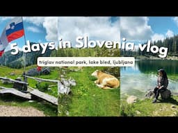 SLOVENIA IN 5 DAYS | vlog + our itinerary