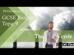 The Carbon Cycle - GCSE Biology (9-1) - 9.13