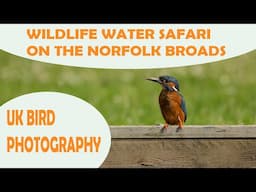 WILDLIFE WATER SAFARIES ON THE NORFOLK BROADS