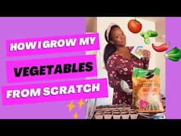 How I start My Veggie Plants from Scratch 👩🏽‍🌾🪴