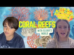 Coral Reefs: The rainforest of the sea