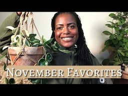 Top 5 Favorite Plants November 2022| Top Favorite Plants Summer 2022