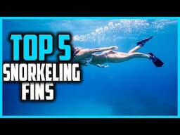 ✅Top 5 Best Snorkeling Fins in 2025