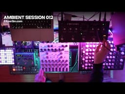 Ambient Session 012 | Lyra-8, Cosmos, Perfourmer | 59 Perlen