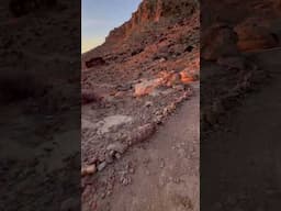 Trail running at sunrise in the Mojave Desert #run #running #trailrunning #explore #viral #shorts