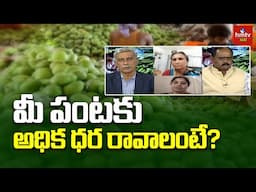 hmtv రైతు పక్షం: మీ పంటకు అధిక ధర రావాలంటే? | hmtv Agri