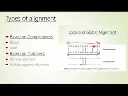 Global Alignment vs. Local Alignment