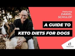 A Guide to Keto Diets for Dogs with Daniel Schulof (Episode 72)