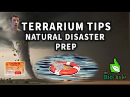 Terrarium Tips: What to Do With Your Reptiles & Amphibians During a Natural Disaster