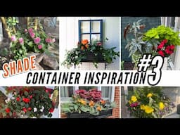 YOUR Best SHADE Container Garden Ideas! -- PART 3 — 100% Viewer Submitted Inspiration