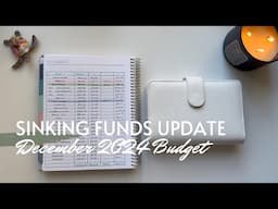 December 2024 Sinking Funds Update| Sinking Funds Counting | Dec 2024 Budget | Maria's Budgeting