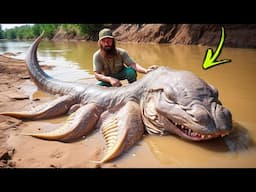 10 Unexplained Creatures Washed Up on Beaches