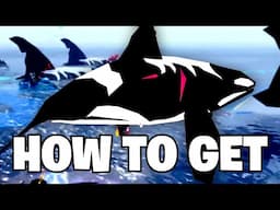 Roblox Fisch - HOW TO GET & CATCH ORCA WHALES (Full Guide - Location)