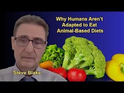 Why Humans Aren’t Adapted to Eat Animal-Based Diets