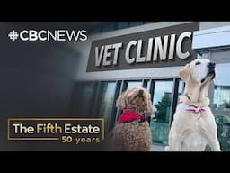 Inside the corporate battle over your pet’s health | The Fifth Estate