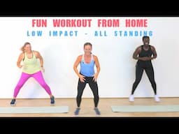 Low impact resistance and cardio workout