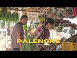 Koreans in Philippines Market Grocery in Negros Island to Cook Filipino Food Chicken Afritada Recipe