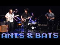 Ants & Bats (Live At RMIT 2010) King Gizzard & The Lizard Wizard