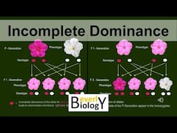 Incomplete Dominance (updated)