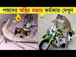 পশুদের মজার কর্মকান্ড ক্যামেরায় ধরা পড়া | Funny Animals Video 2023 (Part-26) | mayajaal