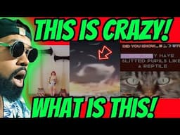 Most Disturbing Videos Breaking The Internet Today!