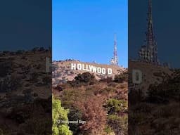 #hollywood