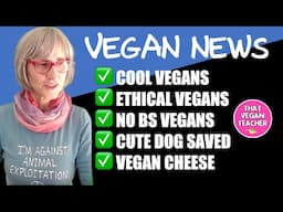 Hey Vegans! Got News? Send me a DM on Instagram if you want me to mention it on my channel.