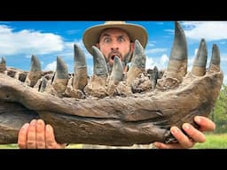 We FOUND Rare T-REX TEETH!