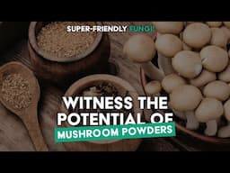 Elevate Your Health with Mushroom Powders – Easy Nutrition Boost for Every Day!