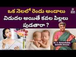 ఒక నెలలో రెండు అండాలు విడుదల| Ovulation Happen Twice In One Cycle | Dr C Suvarchala | Ziva Fertility