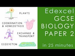 All of Edexcel BIOLOGY Paper 2 in 20 minutes - GCSE Science Revision