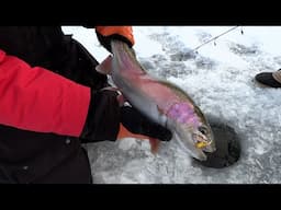 Ice Fishing For Big Rainbow Trout, Tiger Trout and Brown Trout at Falcons Ledge.