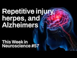 TWiN 57: Repetitive injury, herpes, and Alzheimer's