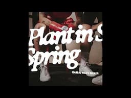 Plant in Spring | HEAVYWEIGHT