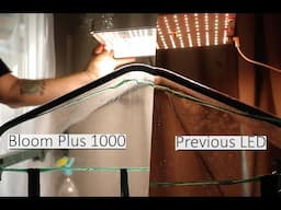 Grow Lights: Bloom Plus LED  Unboxing & Comparison Review: Plant Lighting