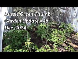 Nathan's Garden Update #16 - From Moth Problems, Harvesting Carrots, to Robot Solutions