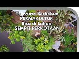 Berkebun Permakultur di Lahan Sempit - Kebun Yogi