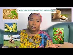 Top 5 yield crops to invest in Nigeria 2025 || tips for successful investment