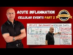 Acute Inflammation Cellular Events | Rolling | Selectins | Immunology | Part 2