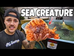 Buying CREEPIEST CREATURE for My AQUARIUM!!