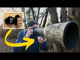 Did I make a mistake bringing my Nikon 800mm 6.3 to Australia?