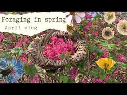 Spring has sprung! | Foraging, Gardening & Sunshine ✳︎