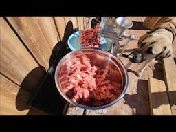 Sausage Making in My Tiny Cabin Kitchen: How does it feel to harvest animals?