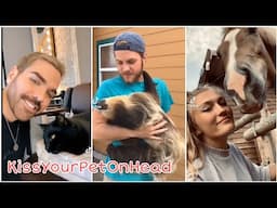 Kiss your pet on the head and see their reaction