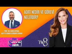 AORT NEDİR VE GÖREVİ NELERDİR?| PROF. DR. BARIŞ ÇAYNAK | 8'de Sağlık