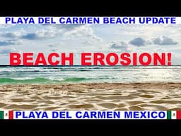 PLAYA  DEL CARMEN MEXICO BEACH AND SEAWEED UPDATE - BEACHES LOOK GREAT BUT LOTS OF BEACH EROSION